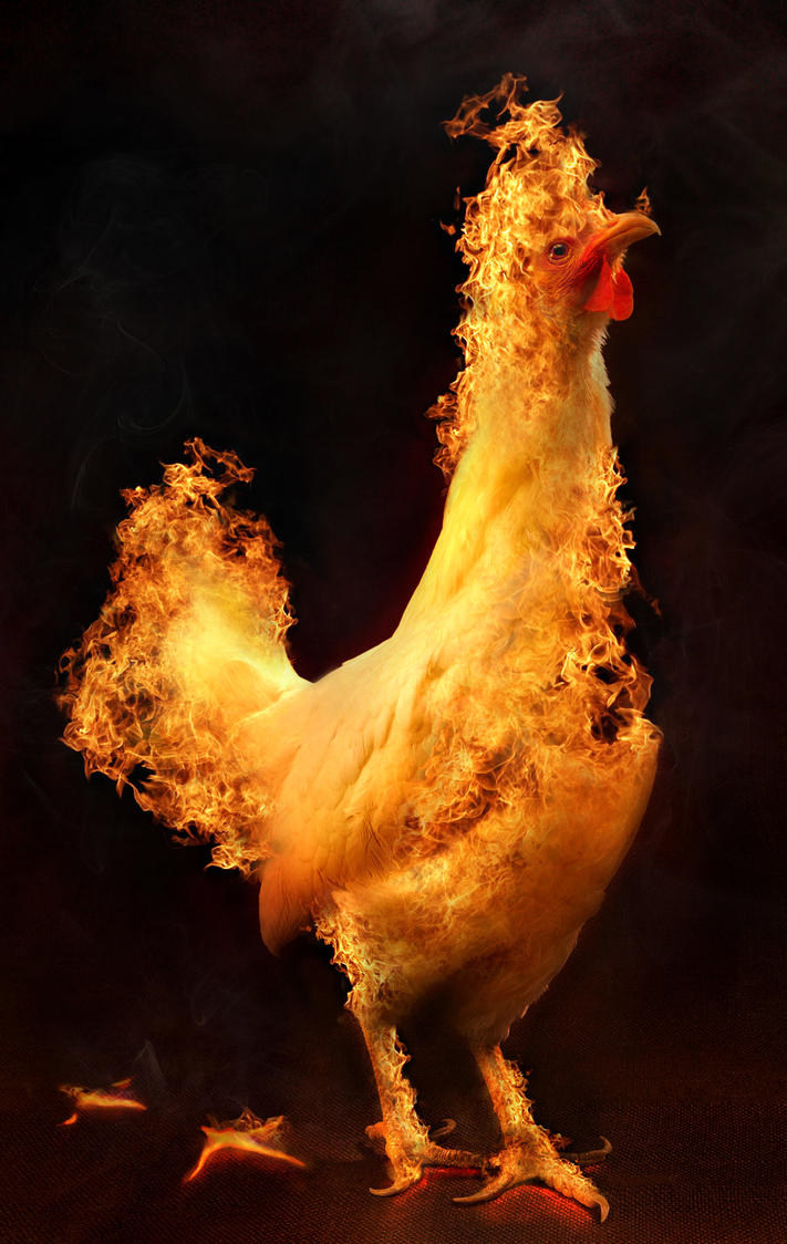 fire_chicken_by_flipflopninja-d33xpnw.jp