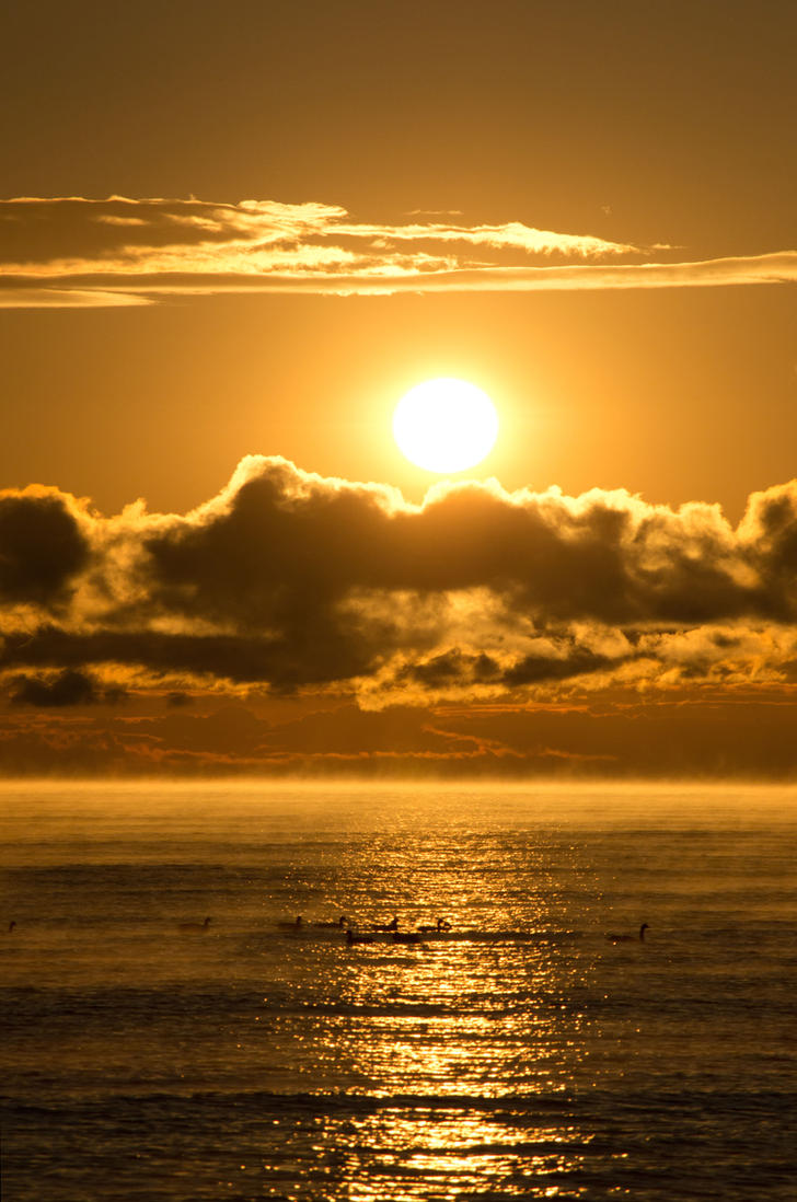 sunrise_by_dolphishy-d84ec16.jpg