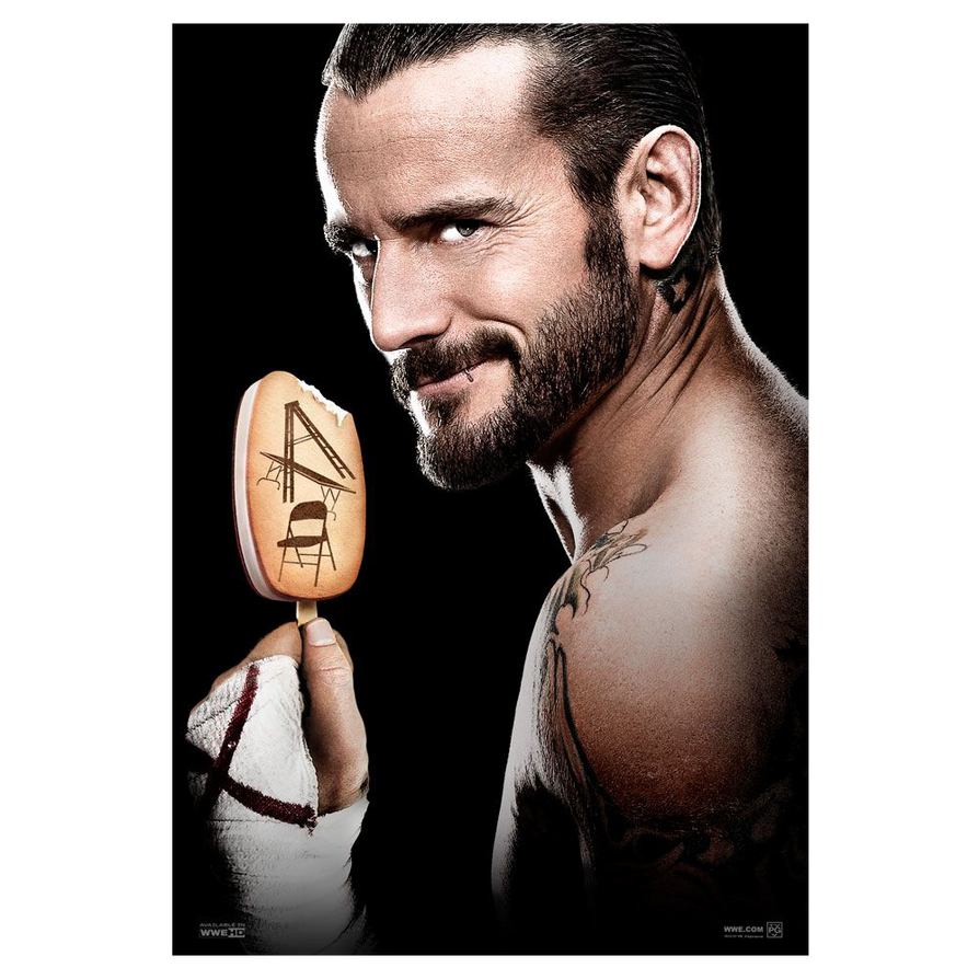 WWE TLC 11 Poster by windows8osx